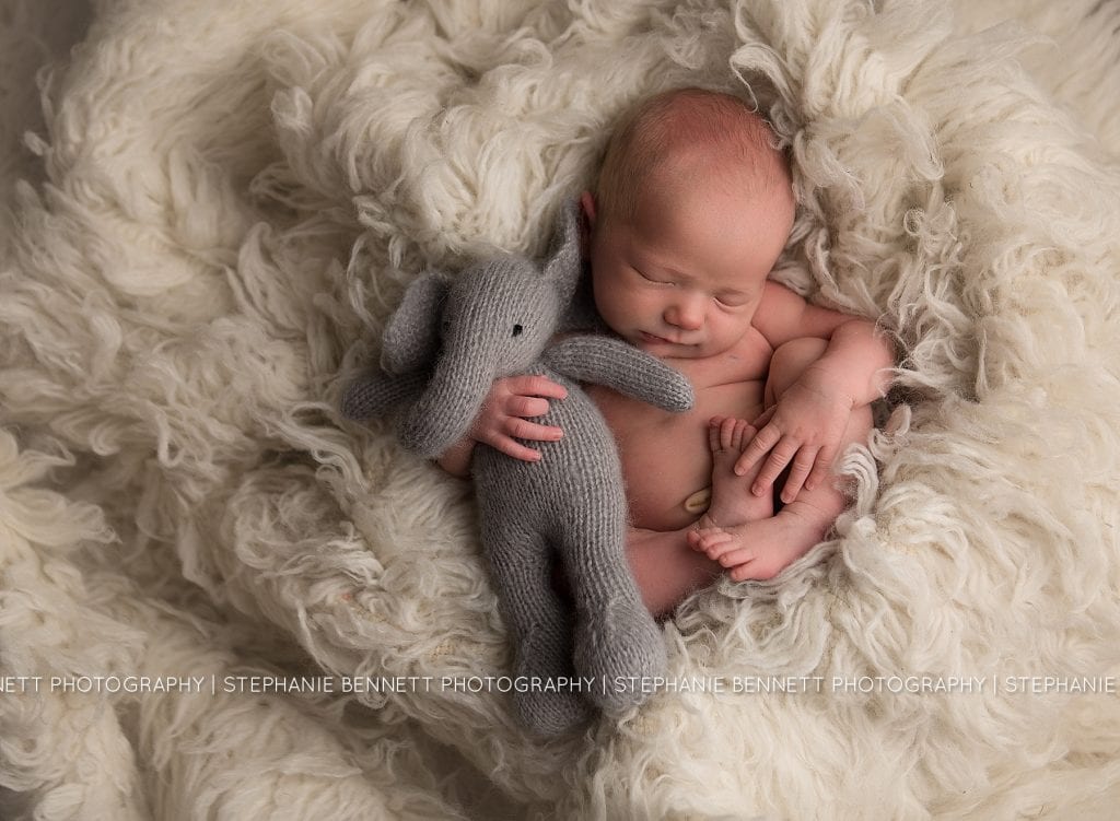 stephanie-bennett-photography-northfield-faribault-owatonna-photographer-newborn-family-maternity-child-milestone_0025