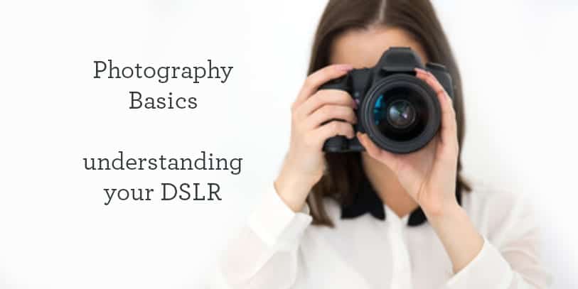 Understanding your DSLR Northfield mn