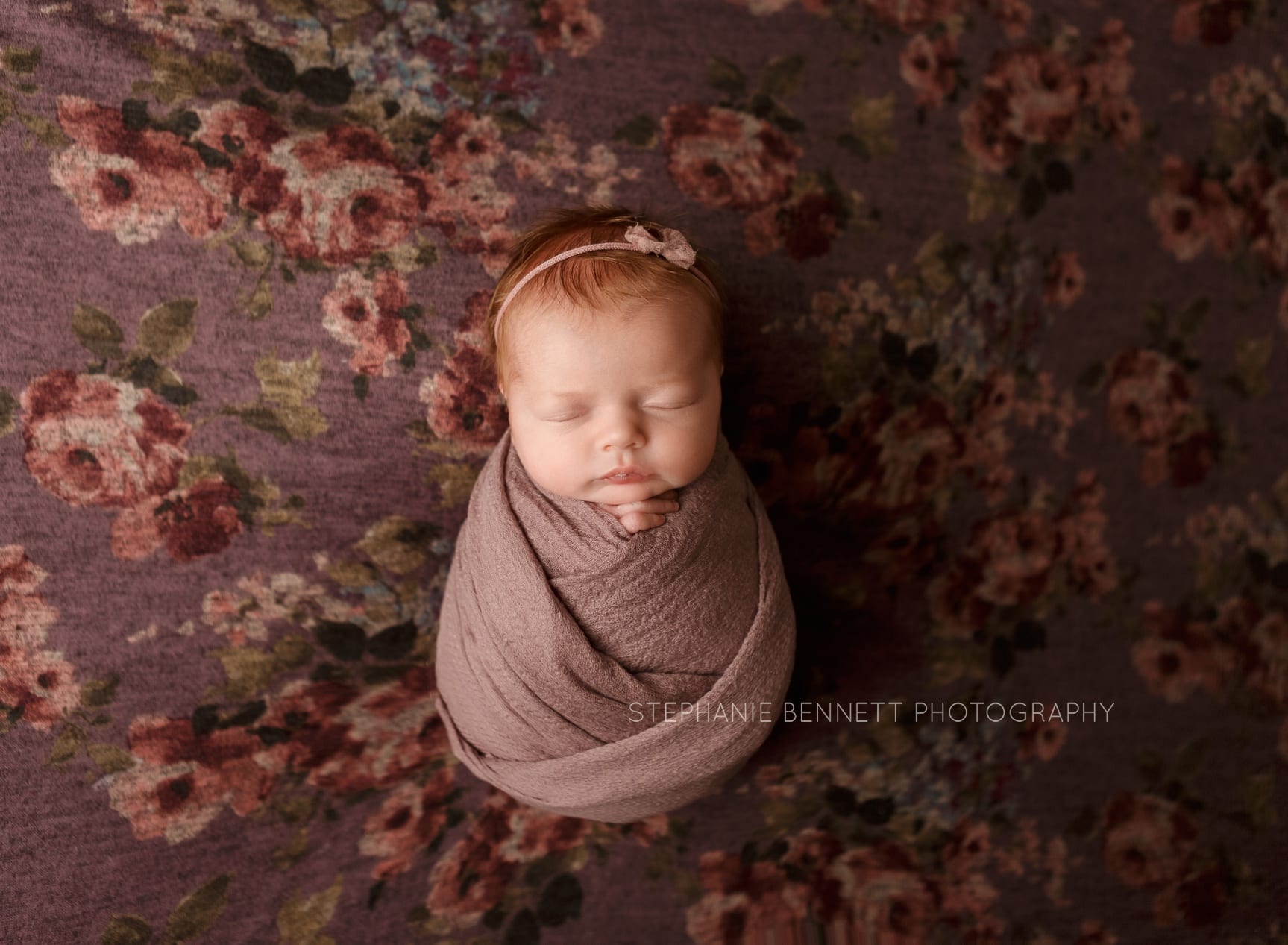 Newborn photography dundas & northfield MN