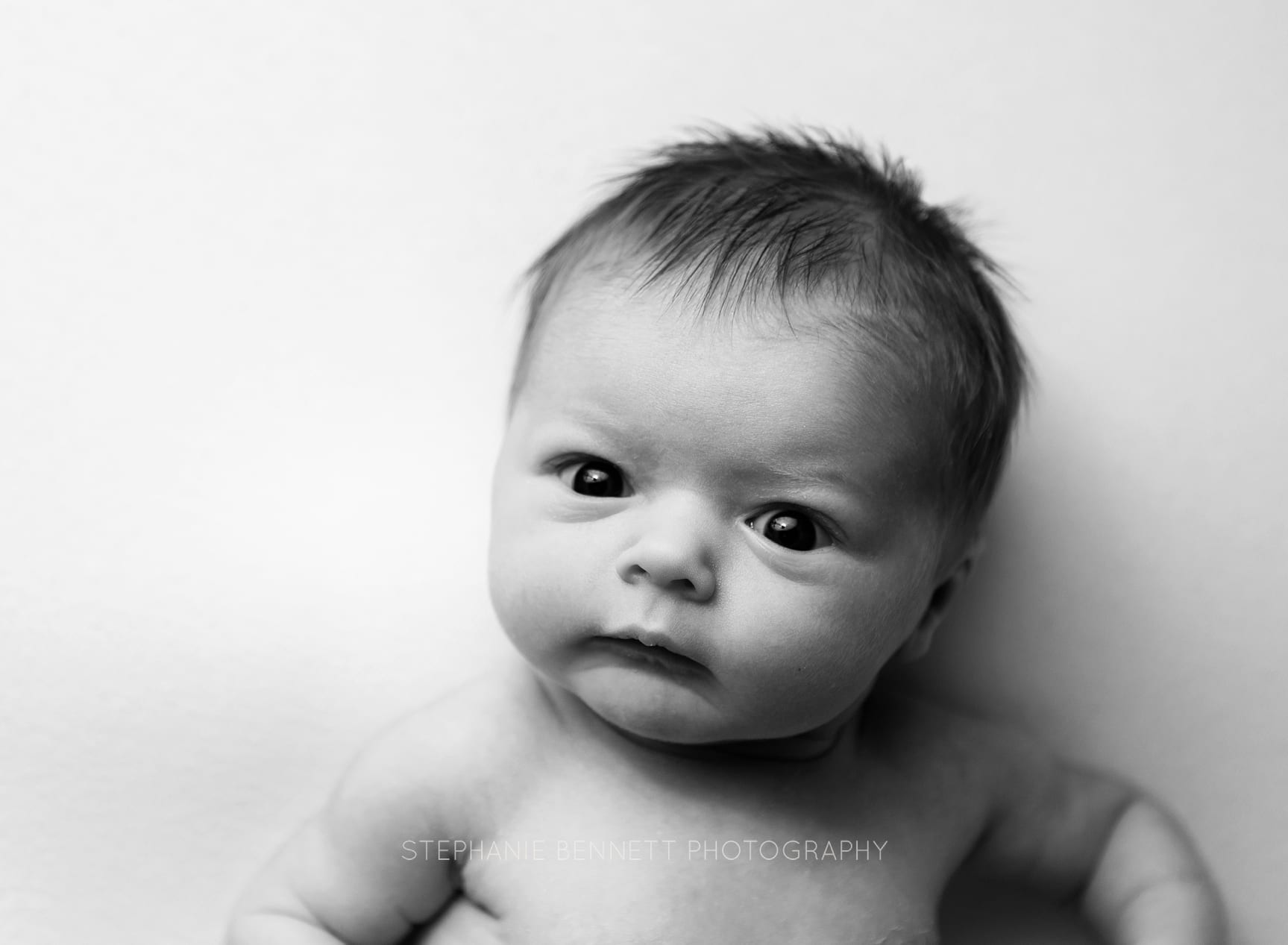 Newborn photography dundas & northfield MN