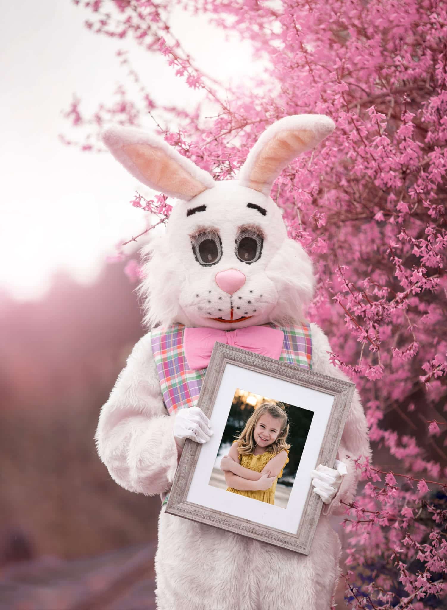 Easter Bunny Pictures | Northfield MN