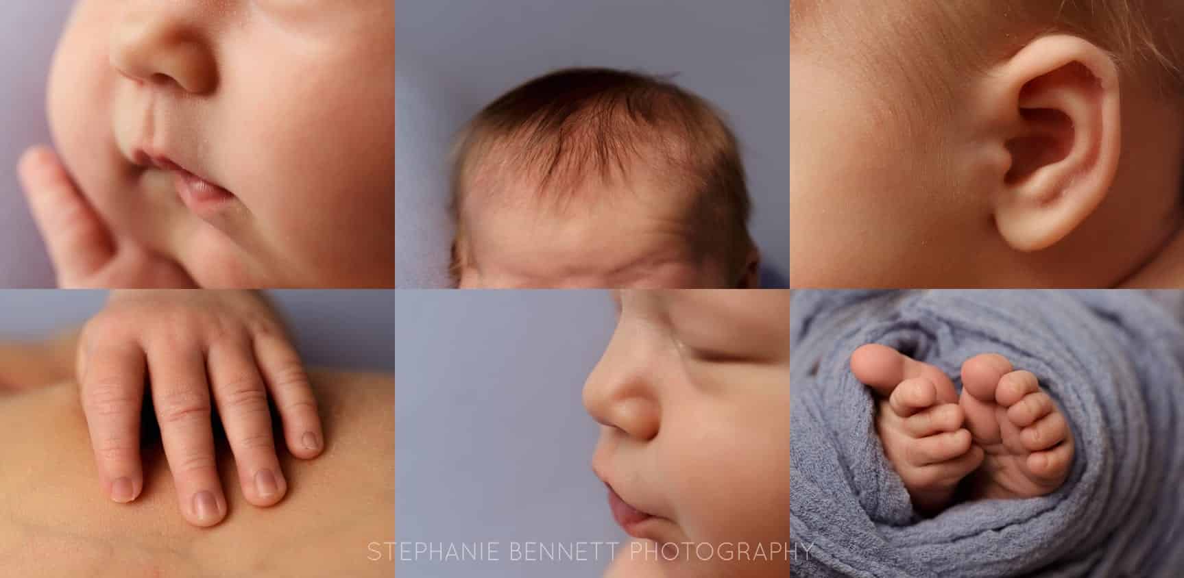Are there Newborn Photographers in Northfield