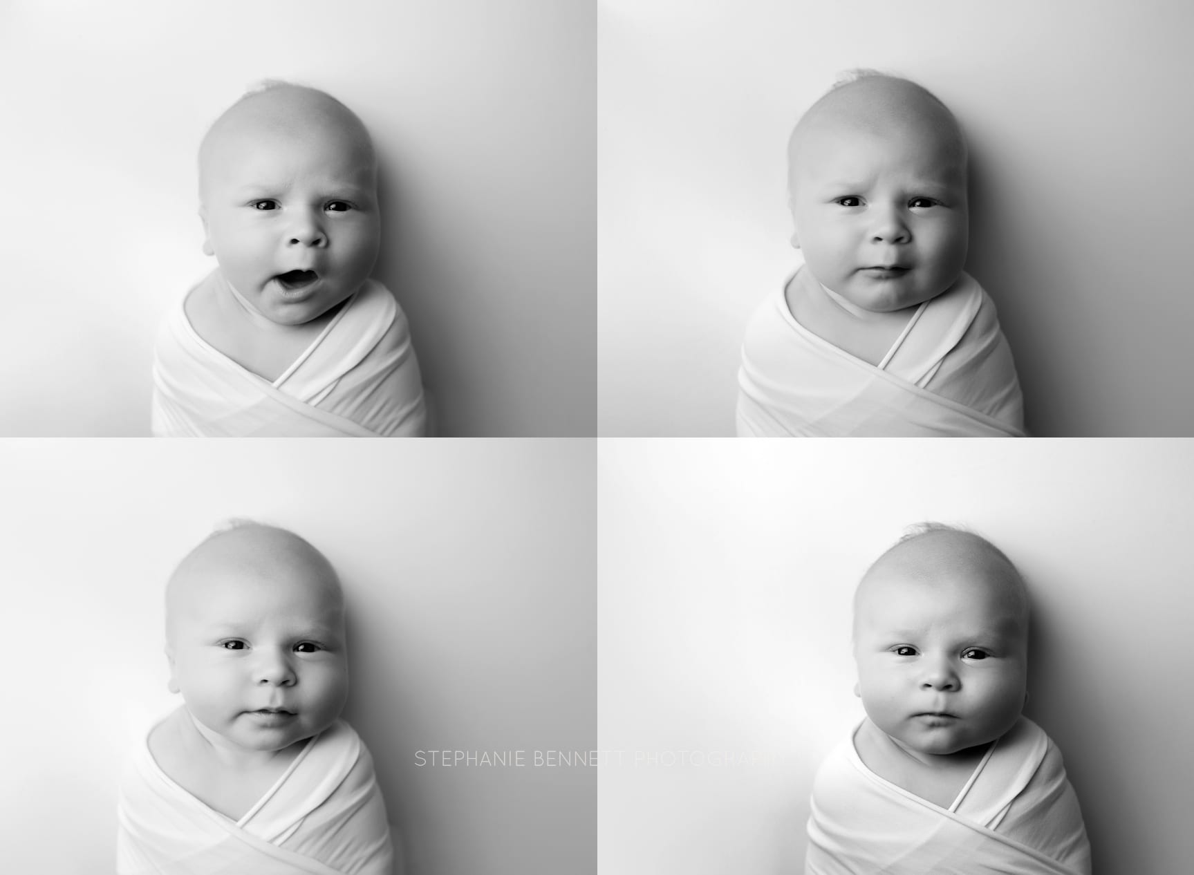 Newborn boy photography session northfield