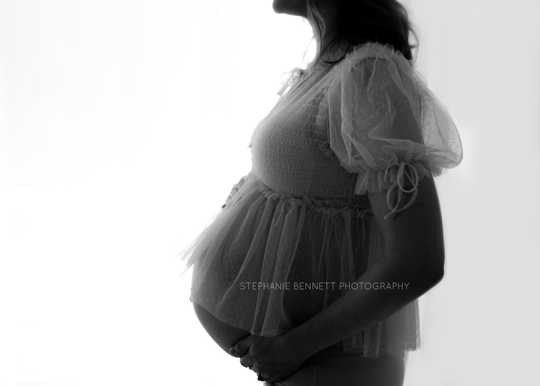 Minnesota maternity photographer