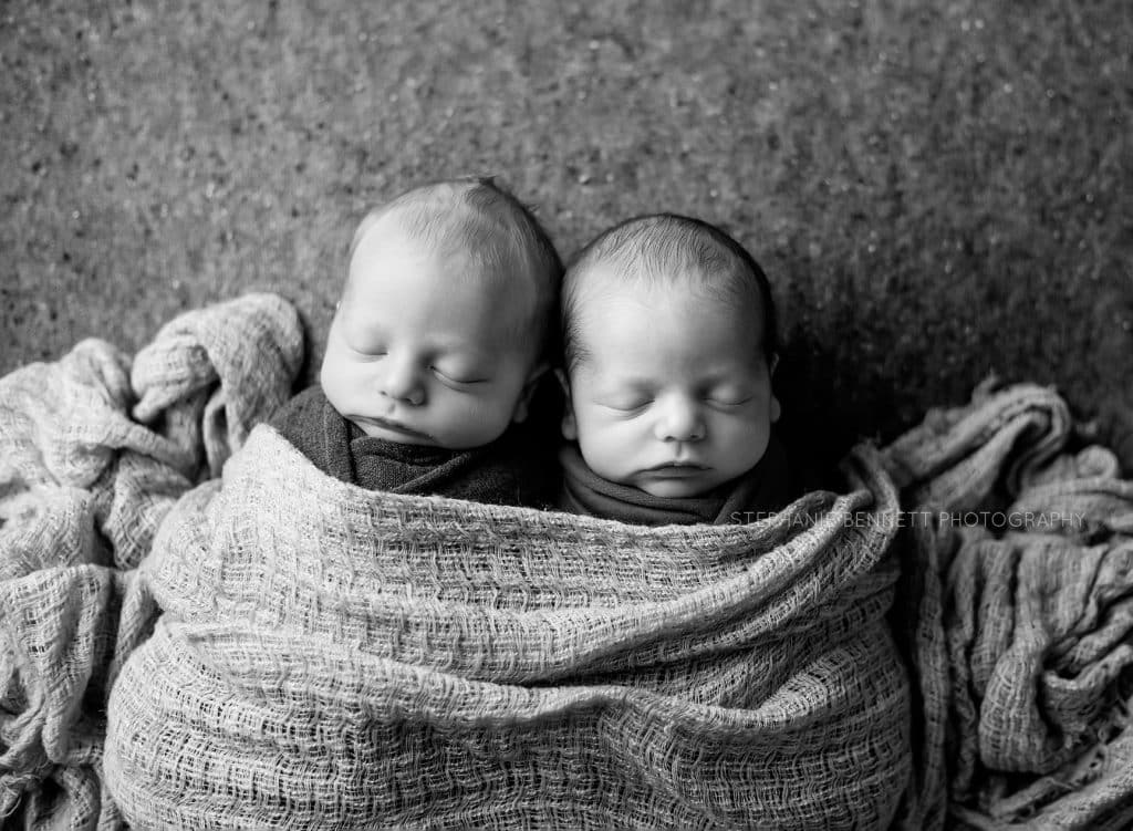 Baby Boy Twins | Minneapolis area photographer in Northfield MN
