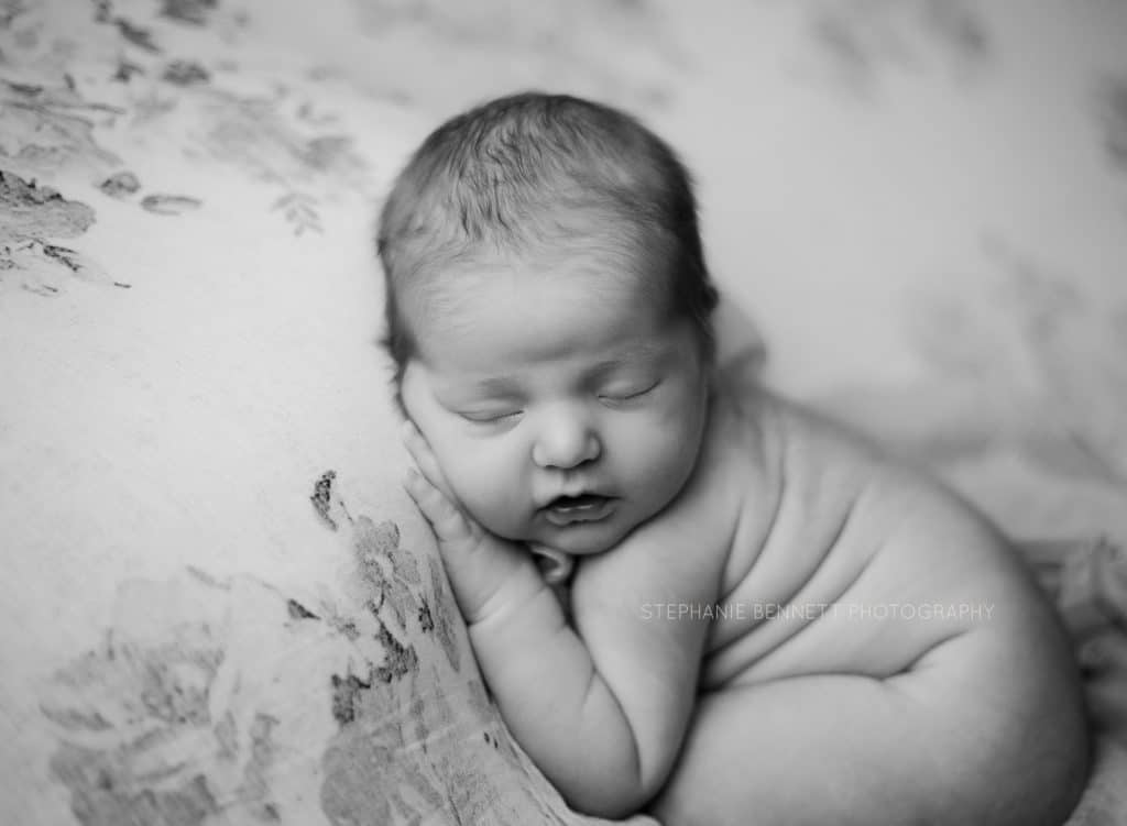 newborn girl photography session minneapolis photographer