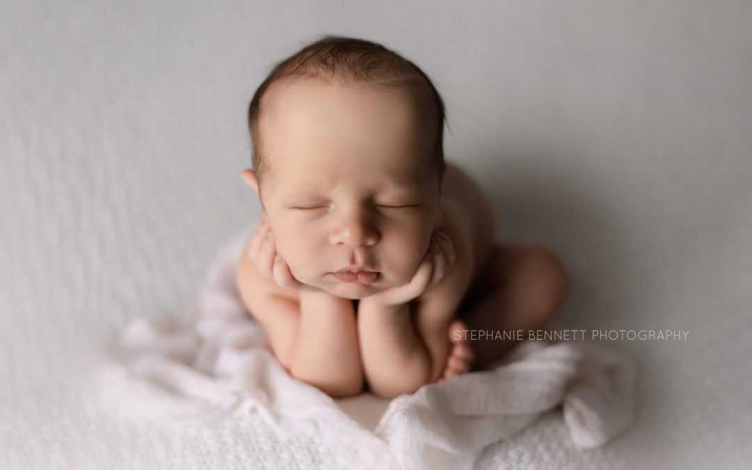 Rosemount MN newborn photography
