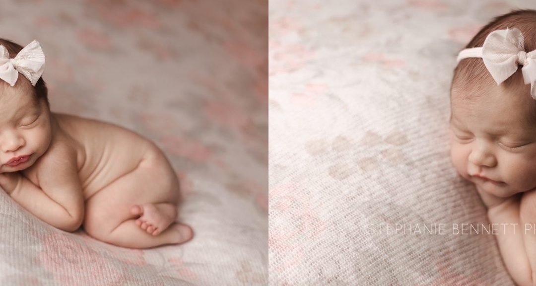 Baby Girl Photography Session  | Northfield Minnesota Photography Studio