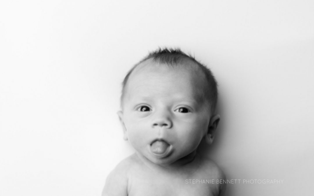 Newborn Photography Session with a Minneapolis Baby