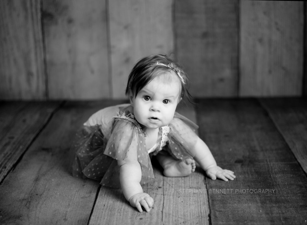Minneapolis 6 Month Old Baby Photography Session