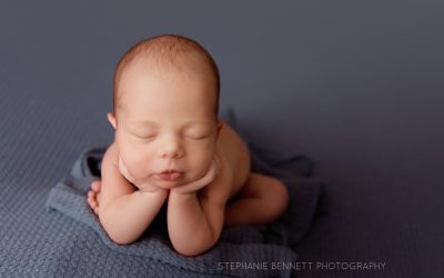 Using A Dog Bed For Newborn Photography