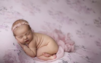 Where to buy newborn photography props in Minnesota
