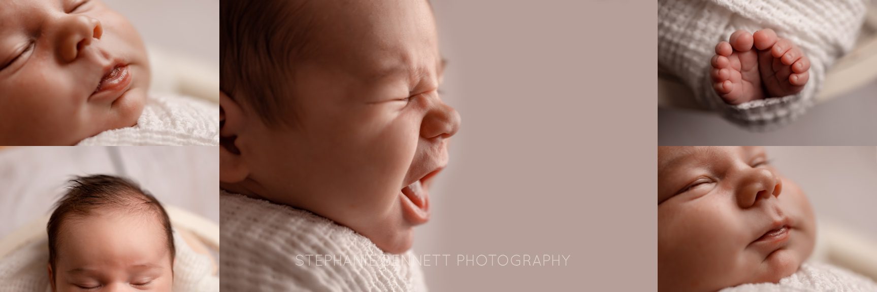 Northfield baby photographer