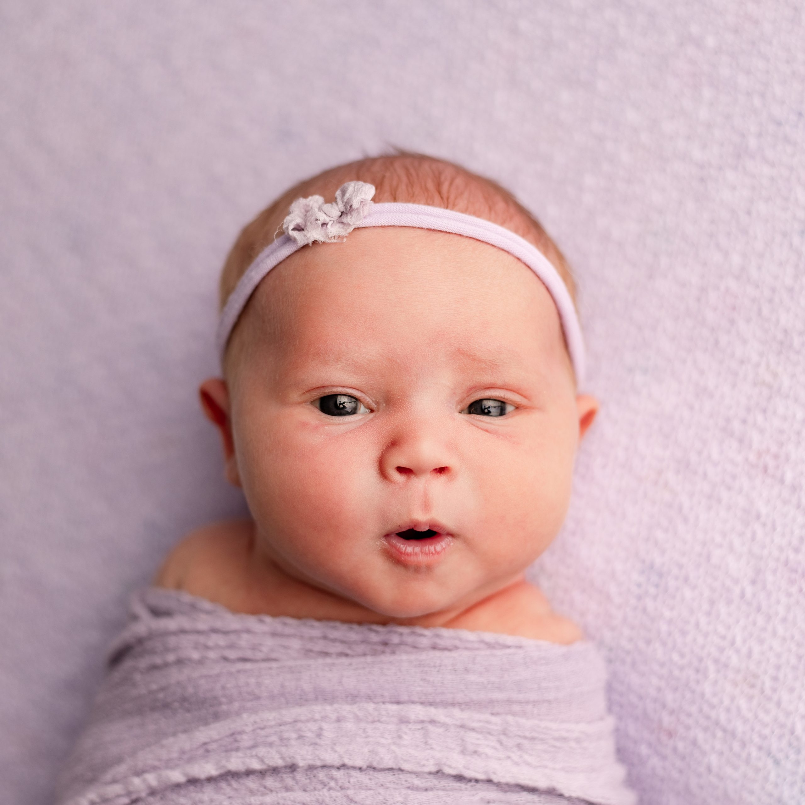 Mini newborn sessions minneapolis