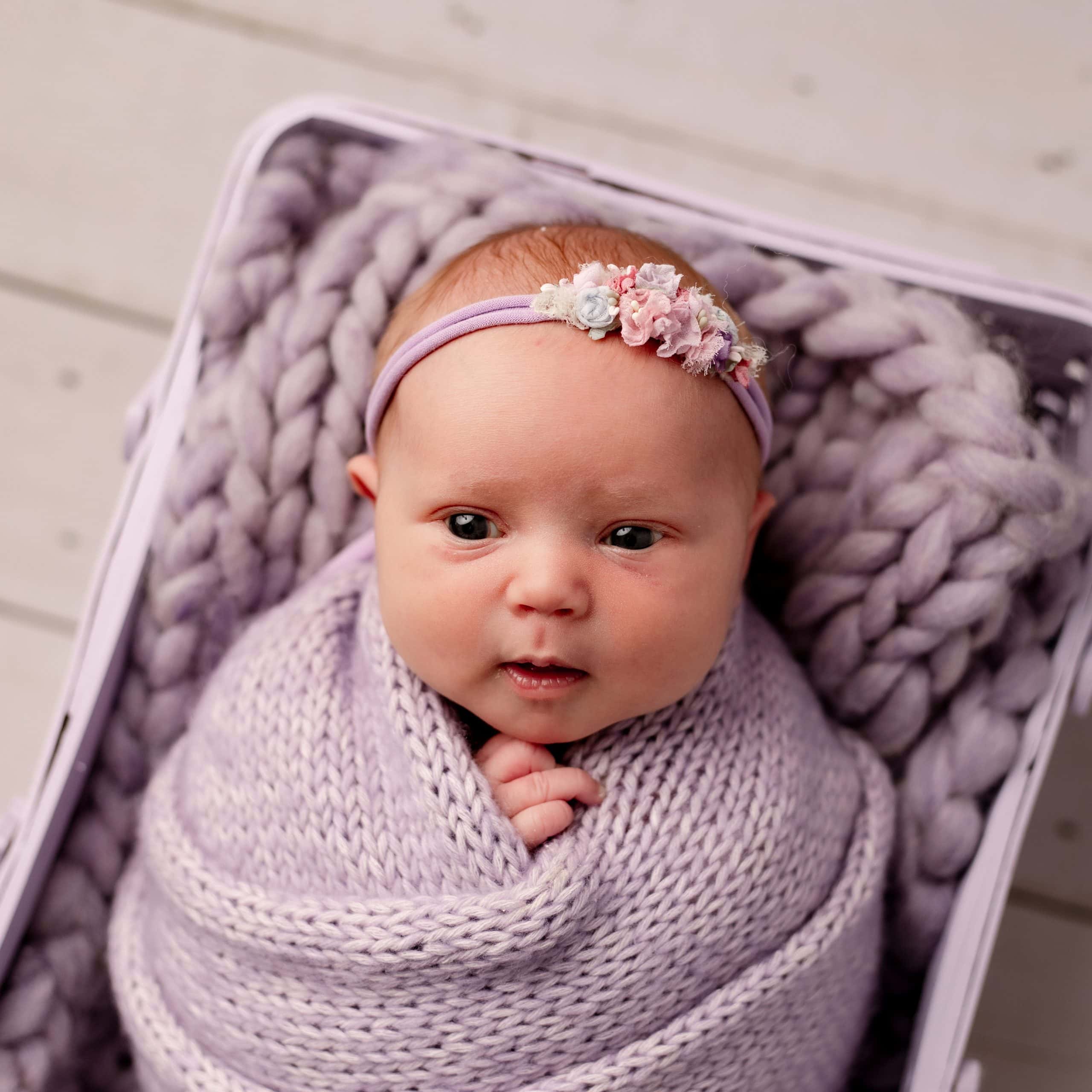 Mini newborn sessions minneapolis