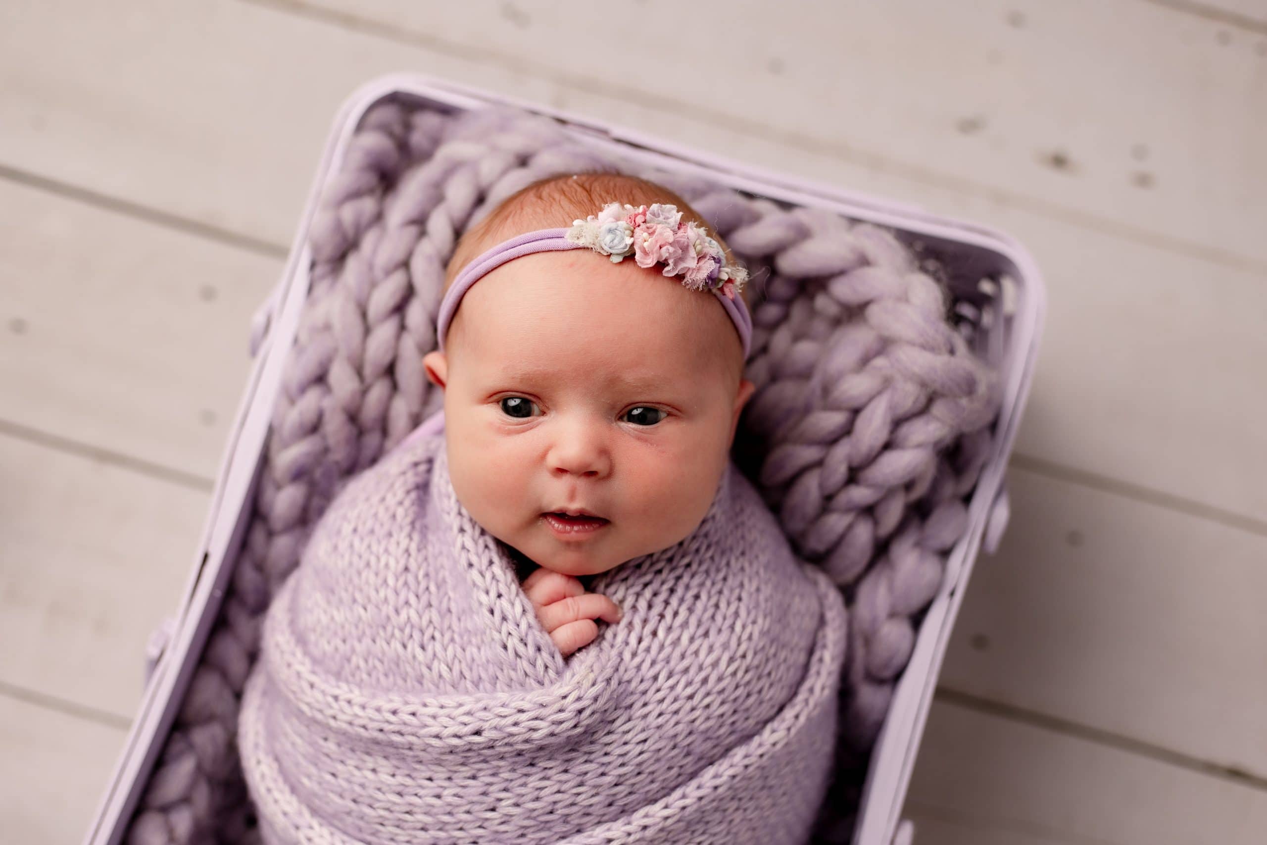 Mini newborn sessions minneapolis