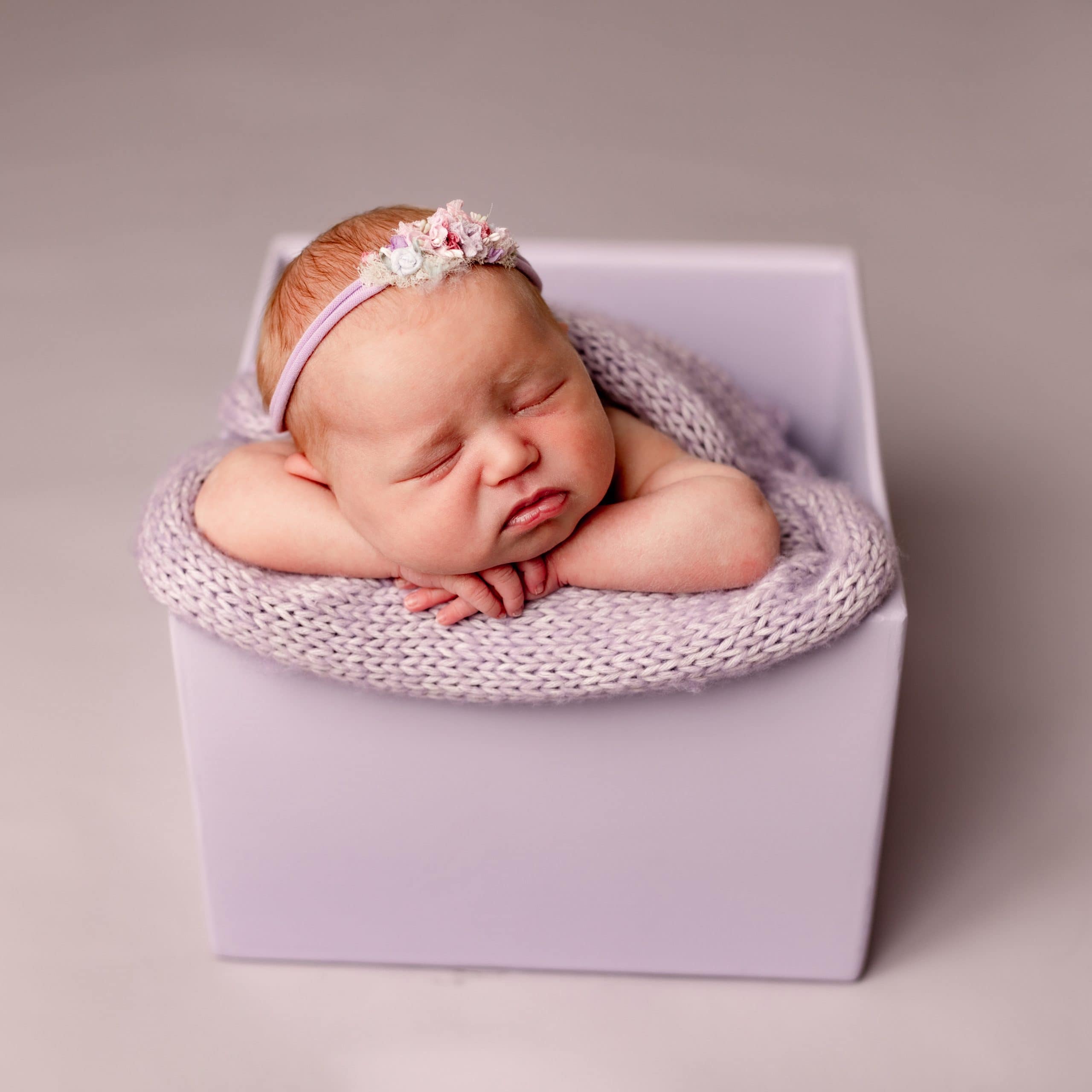 Mini newborn sessions minneapolis