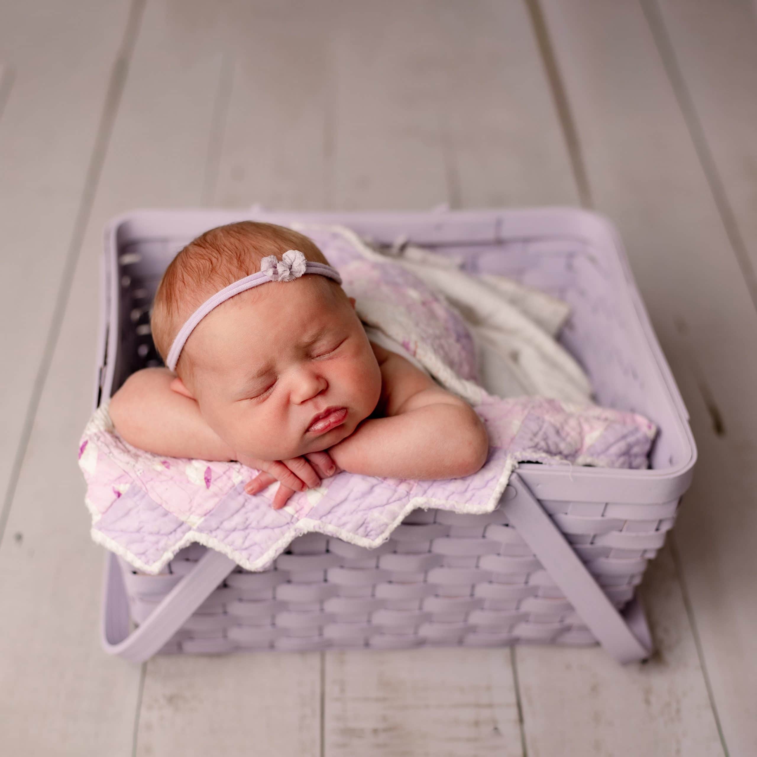 Mini newborn sessions minneapolis