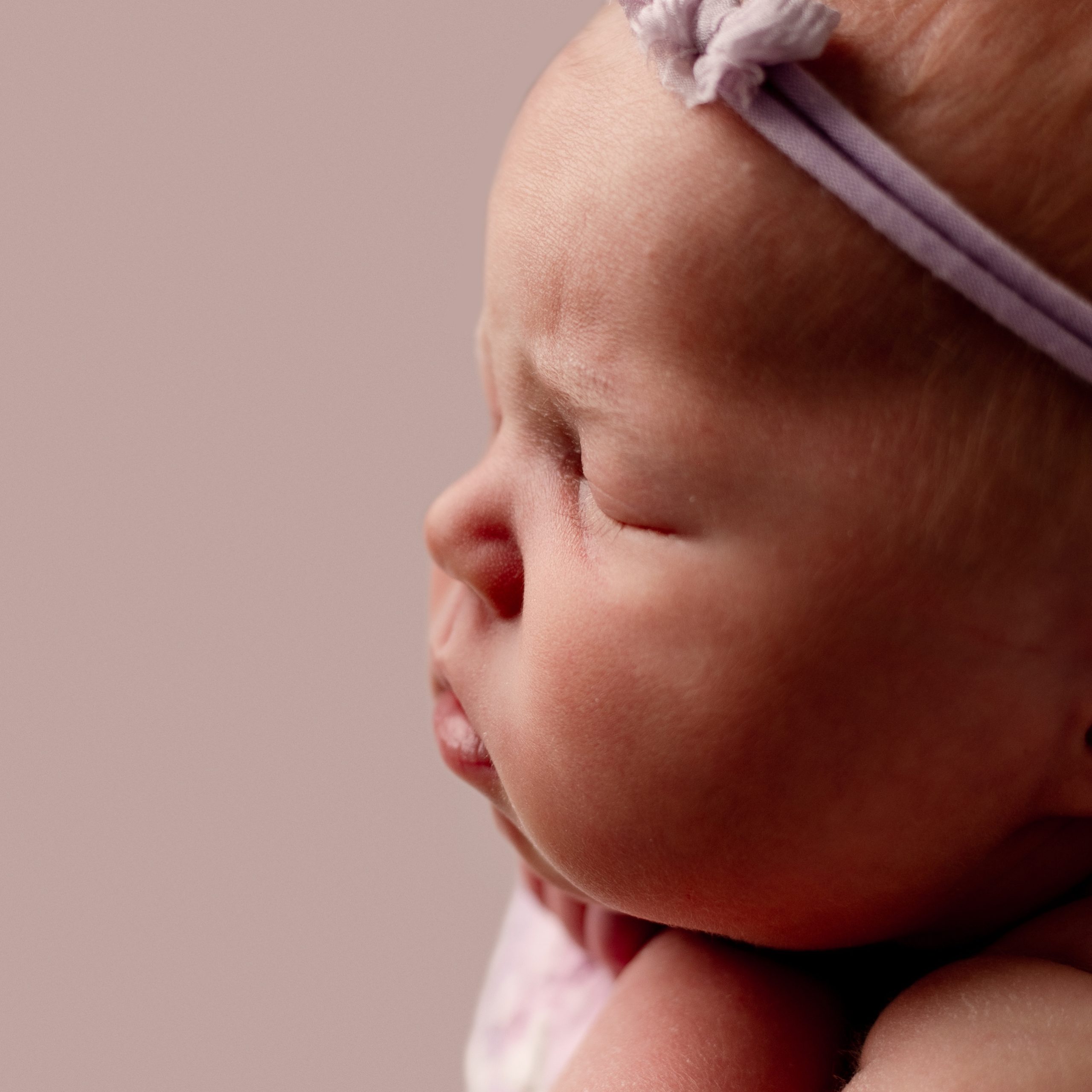 Mini newborn sessions minneapolis